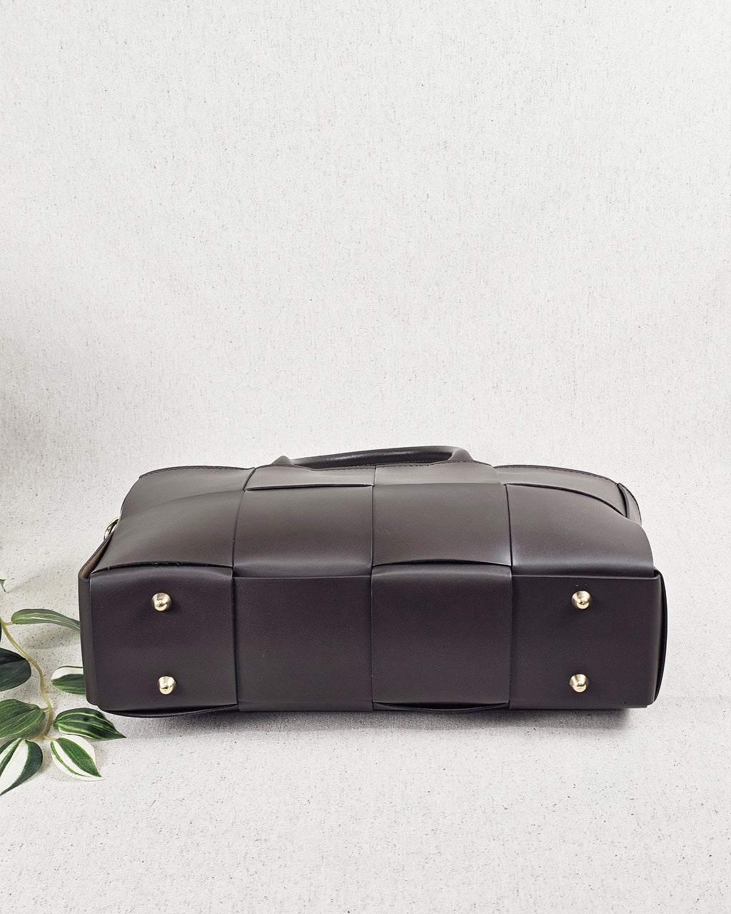 Amelìe Small Testa di moro